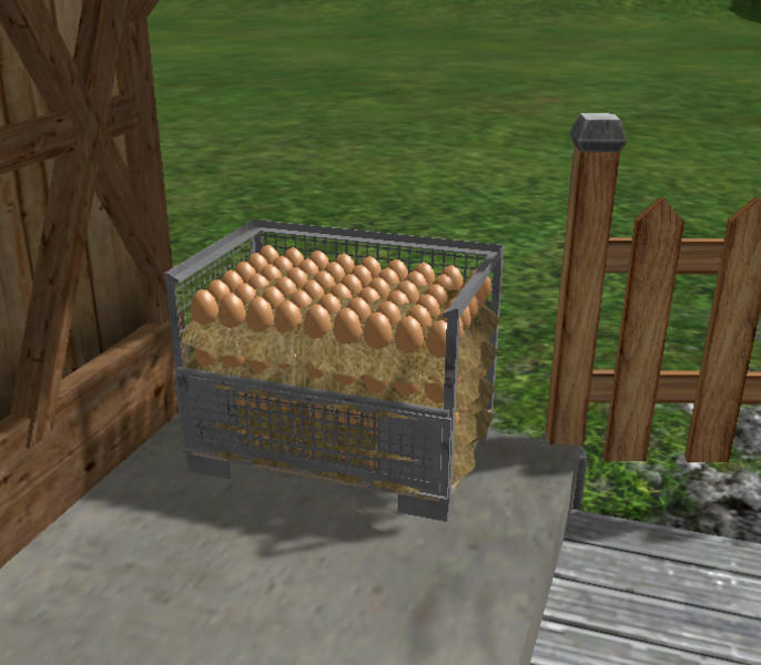Eggs Pallet Cage